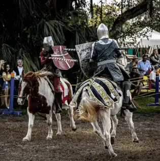 <a href="https://www.instagram.com/flarenfest/">View More on Instagram</a>