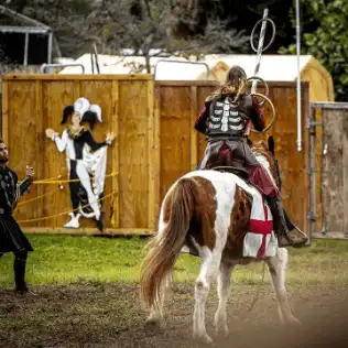 <a href="https://www.instagram.com/flarenfest/">View More on Instagram</a>